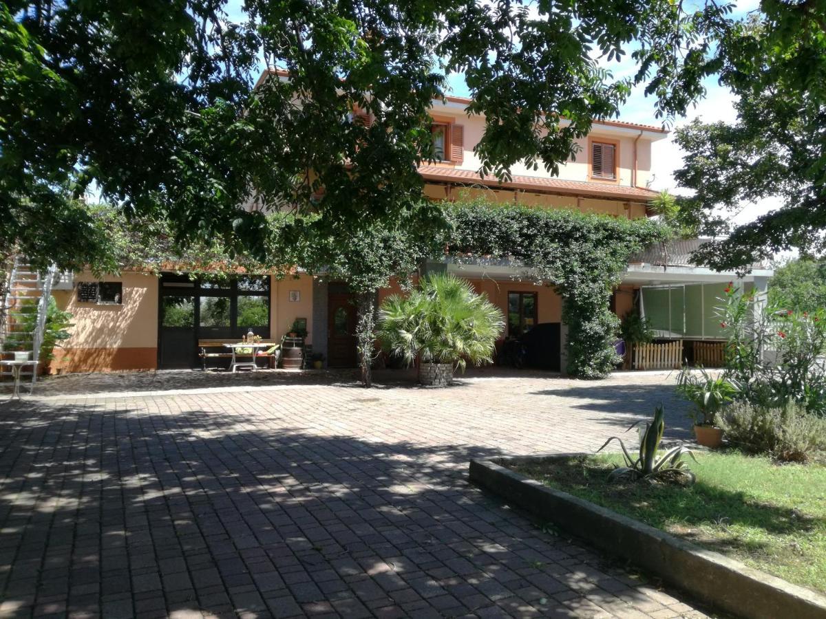 Guesthouse Skofije Ob Parenzani Spodnje Skofije ภายนอก รูปภาพ